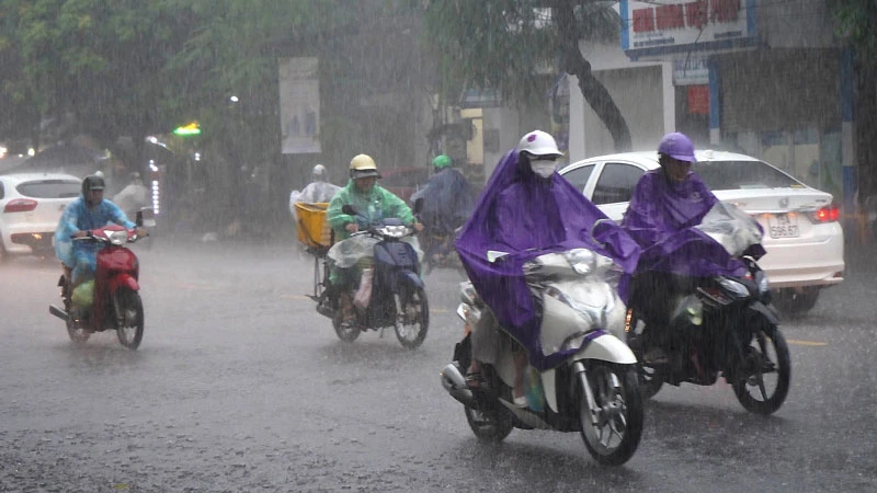 Các tỉnh, thành phố khẩn trương ứng phó với áp thấp nhiệt đới và mưa lớn